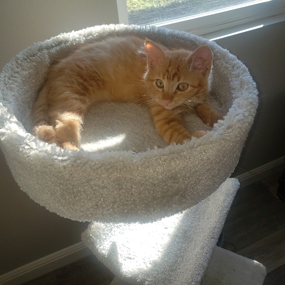 Meet your Posher, Arezu - Picture 7 of 7